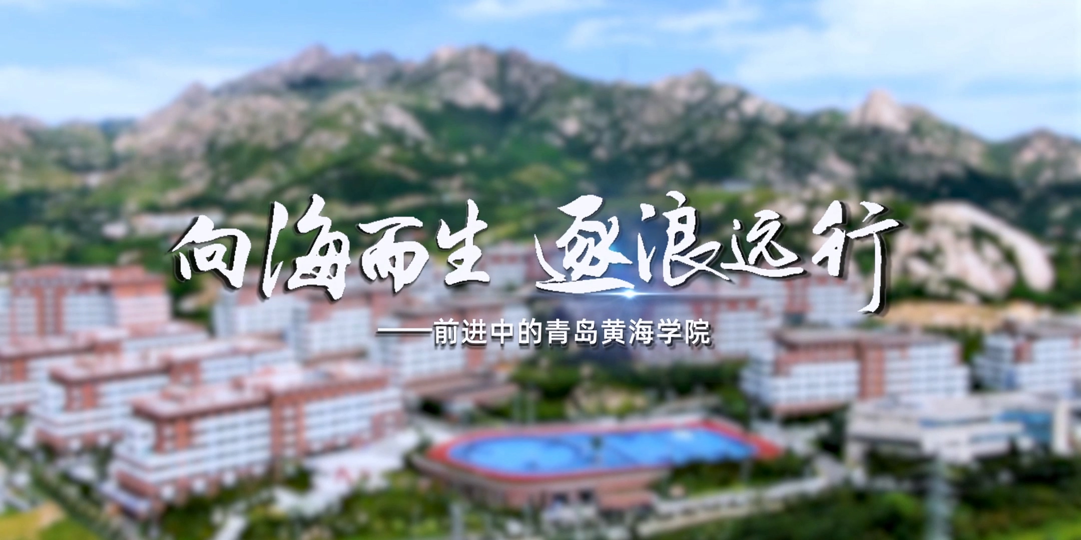 《向海而生 逐浪远行》——前进中的best365中国官方网站